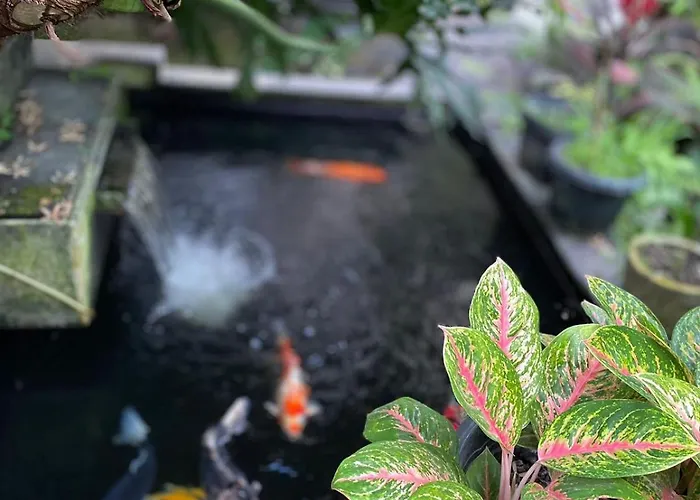 Bagus Ubud